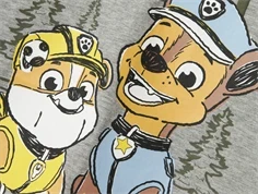 Name It grey melange top Paw Patrol